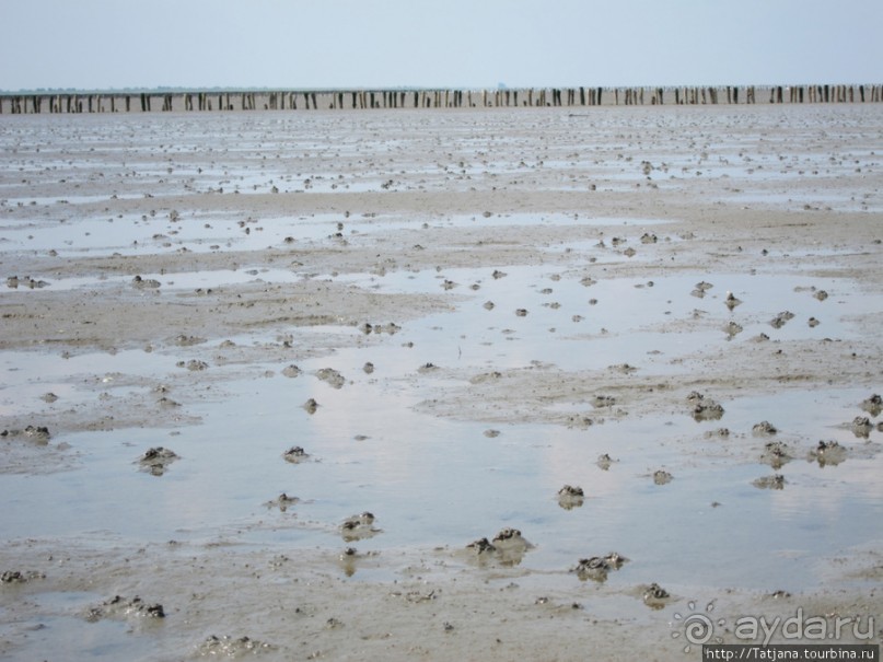 Как нас засасывало в голландской провинции Гронинген.