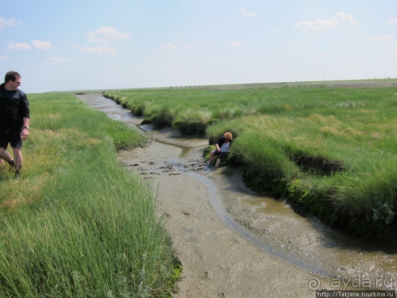 Как нас засасывало в голландской провинции Гронинген.