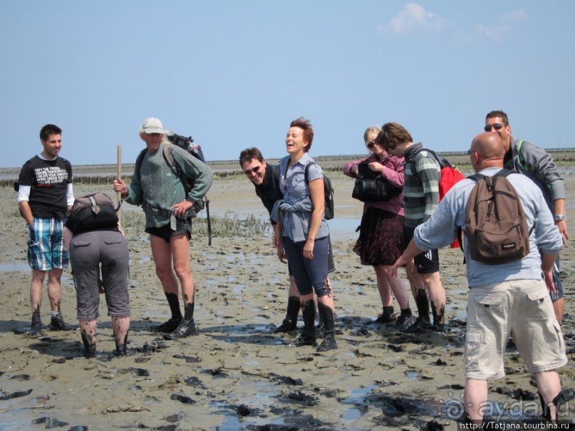 Как нас засасывало в голландской провинции Гронинген.