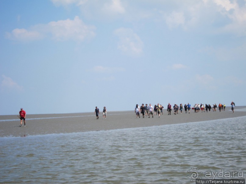 Как нас засасывало в голландской провинции Гронинген.