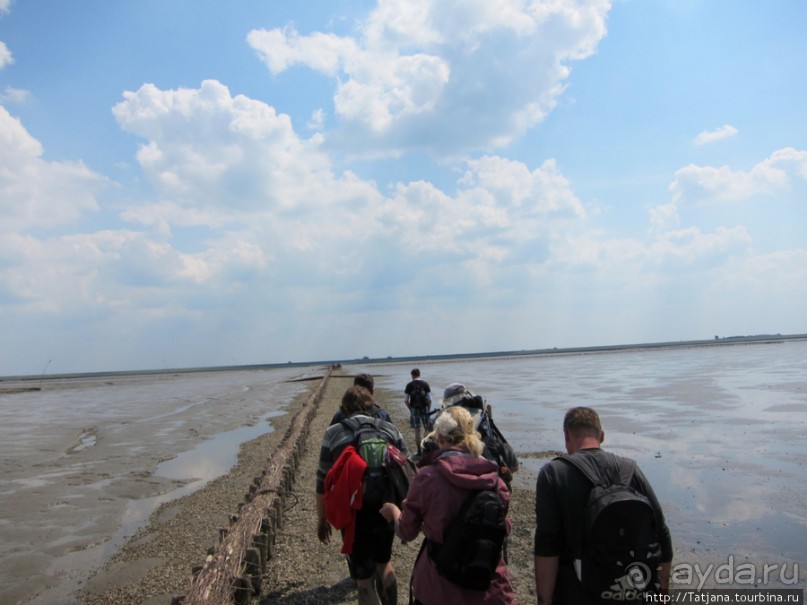 Как нас засасывало в голландской провинции Гронинген.
