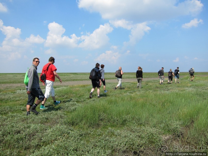 Как нас засасывало в голландской провинции Гронинген.