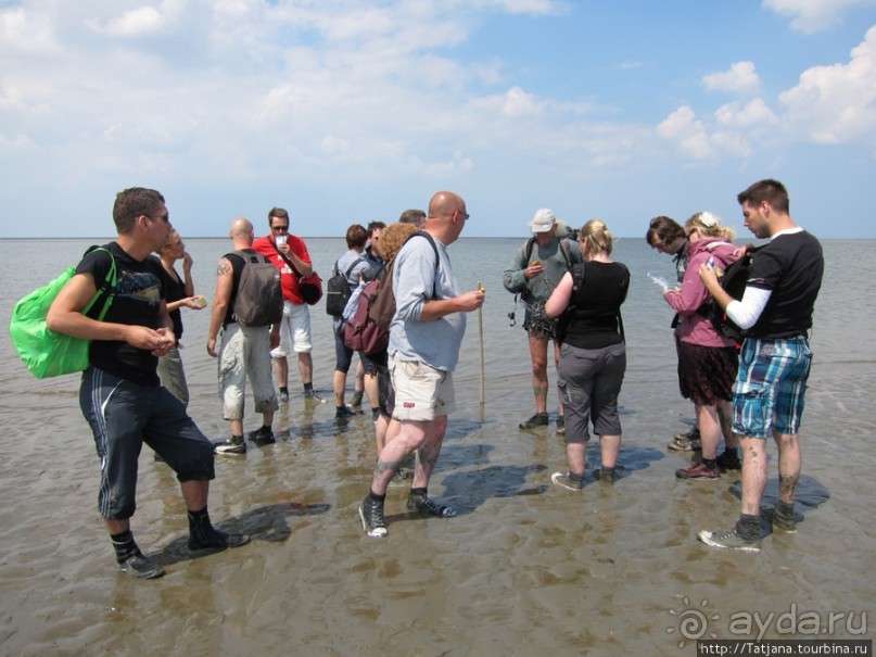 Как нас засасывало в голландской провинции Гронинген.