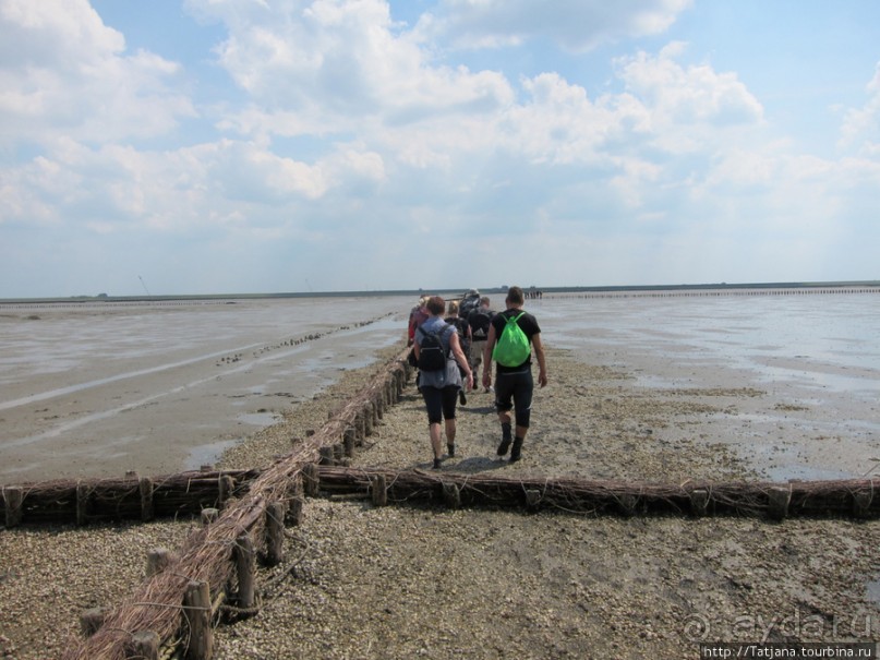 Как нас засасывало в голландской провинции Гронинген.
