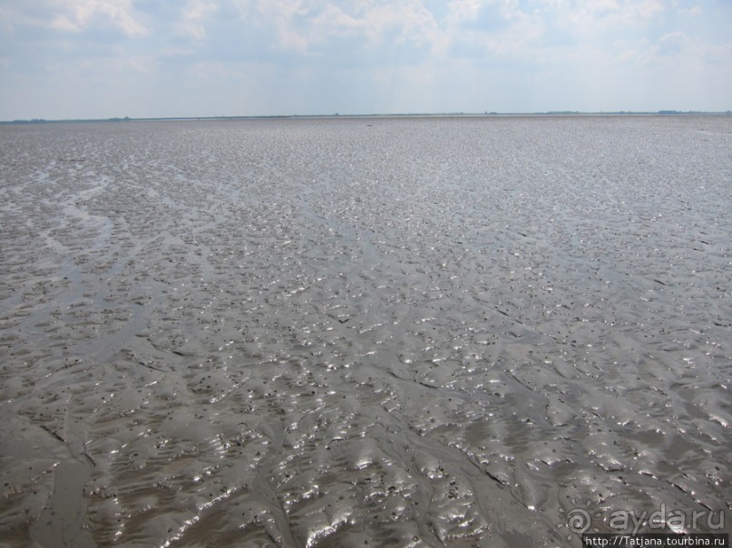 Как нас засасывало в голландской провинции Гронинген.