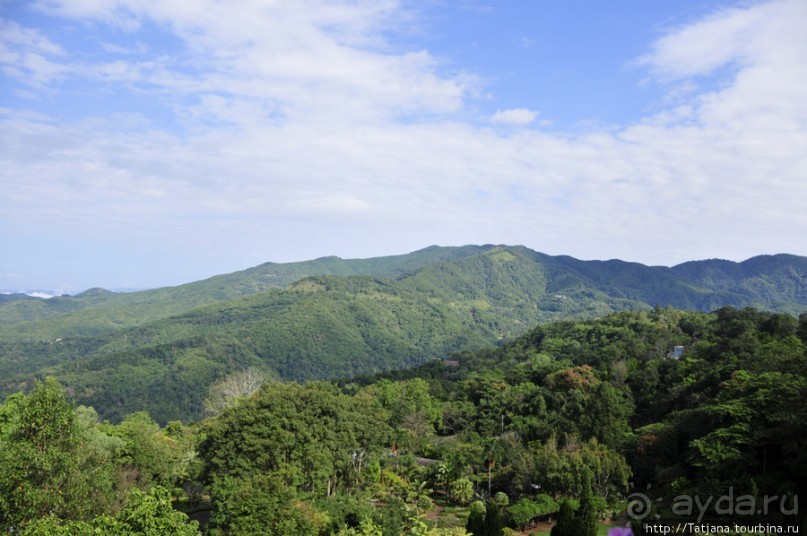Doi Tung Royal Королевская вилла в горах Чанг Мая