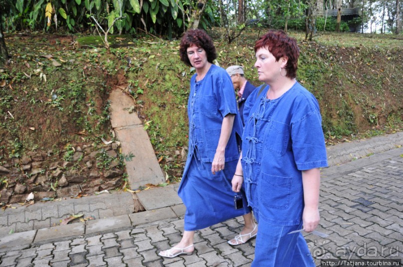 Doi Tung Royal Королевская вилла в горах Чанг Мая