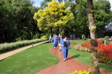 Doi Tung Royal Королевская вилла в горах Чанг Мая