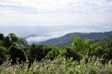 Doi Tung Royal Королевская вилла в горах Чанг Мая