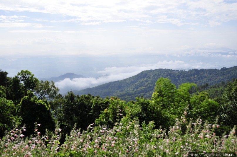 Doi Tung Royal Королевская вилла в горах Чанг Мая
