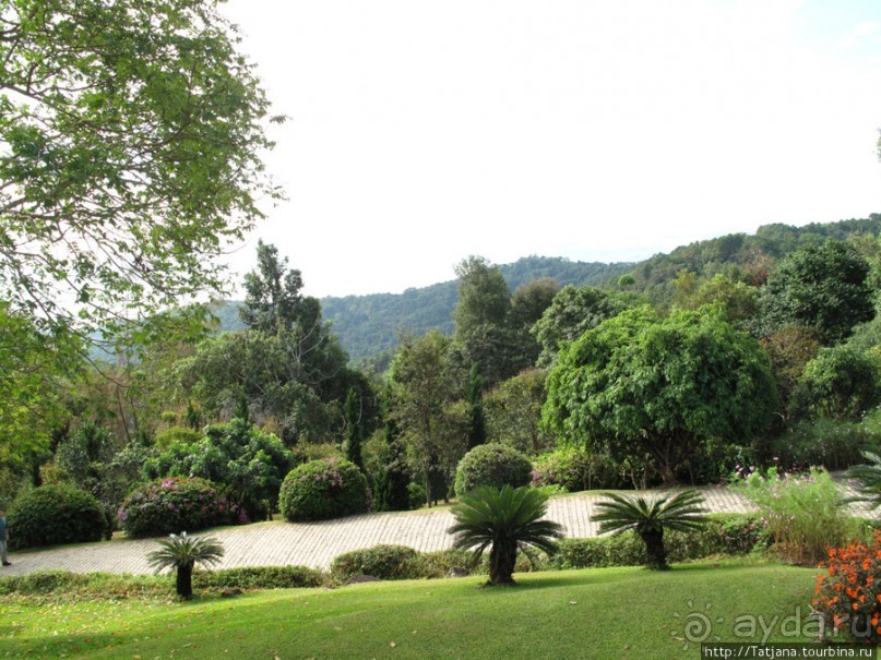 Doi Tung Royal Королевская вилла в горах Чанг Мая