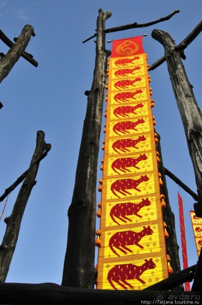 Doi Tung Royal Королевская вилла в горах Чанг Мая