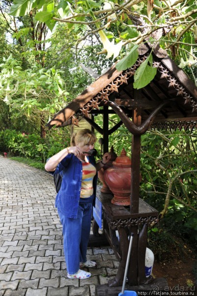 Doi Tung Royal Королевская вилла в горах Чанг Мая