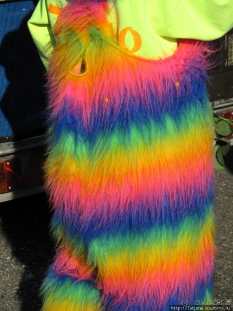 Солнечный карнавальный день в Херлене.