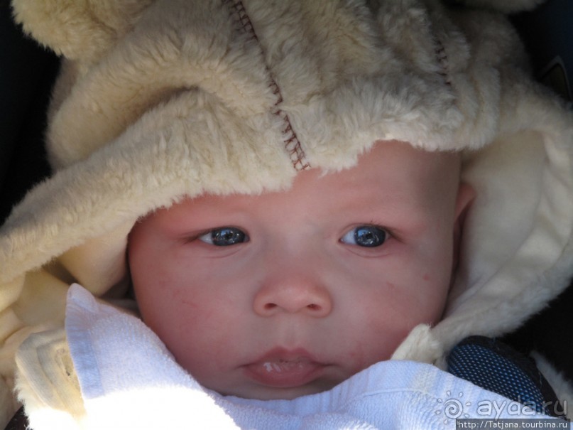 Солнечный карнавальный день в Херлене.