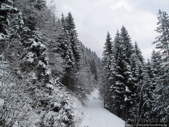 Как я шлем на прочность проверяла....