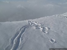 Как я шлем на прочность проверяла....