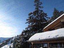 Как я шлем на прочность проверяла....