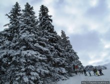 Альбом отзыва "Как я шлем на прочность проверяла...."