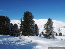 Как я шлем на прочность проверяла....