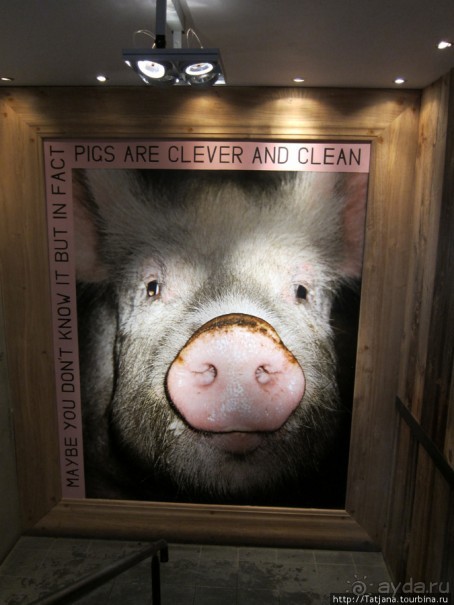 Сладкое безумие Валь-Торанс "La Folie Douce''