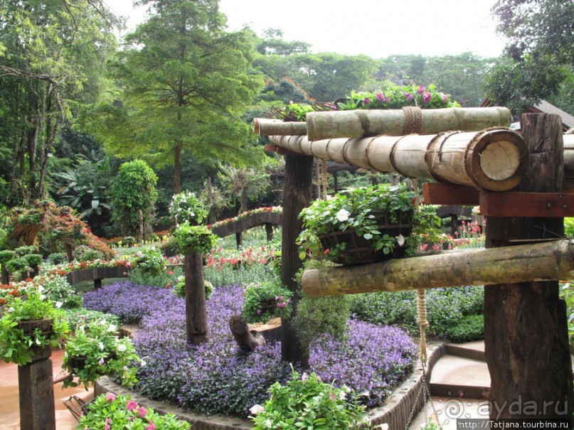 Ботанический сад Мае Фа Луанг