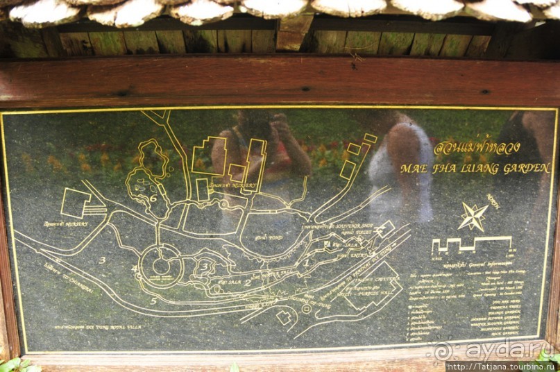 Ботанический сад Мае Фа Луанг