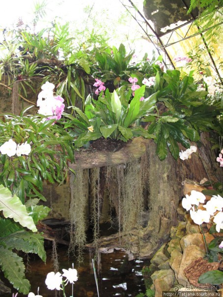 Ботанический сад Мае Фа Луанг