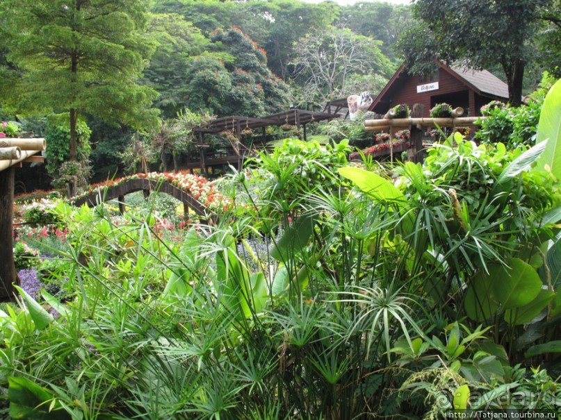 Ботанический сад Мае Фа Луанг