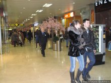 Огни Москвы и яблоко камасутры З. Церетели