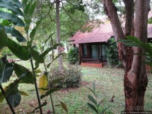 Энтические коттеджи Golden Pine Resort