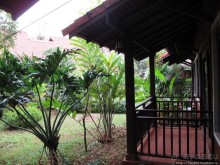 Энтические коттеджи Golden Pine Resort