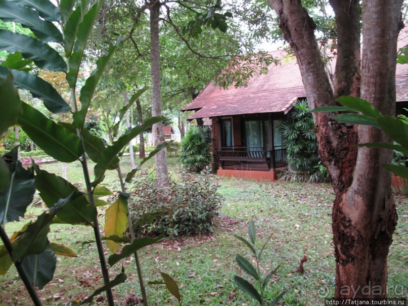 Энтические коттеджи Golden Pine Resort