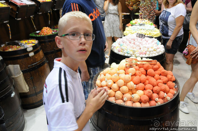 Замечетельная прогулка, Колизей, и вечная любовь