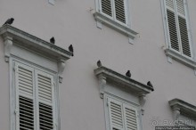 Замечетельная прогулка, Колизей, и вечная любовь