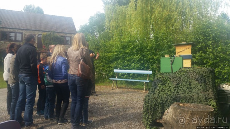 Про пасеку и средство от эмоционального выгорания