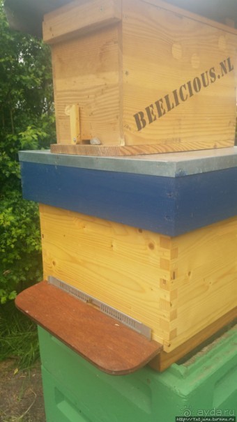 Про пасеку и средство от эмоционального выгорания