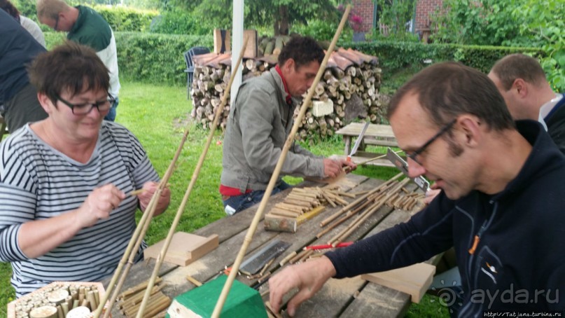 Про пасеку и средство от эмоционального выгорания