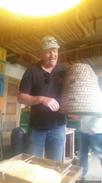 Про пасеку и средство от эмоционального выгорания