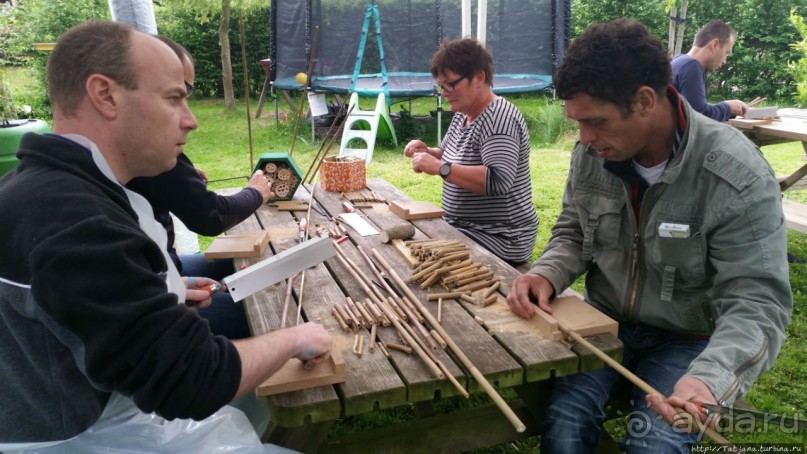 Про пасеку и средство от эмоционального выгорания