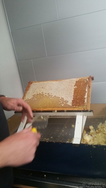 Про пасеку и средство от эмоционального выгорания