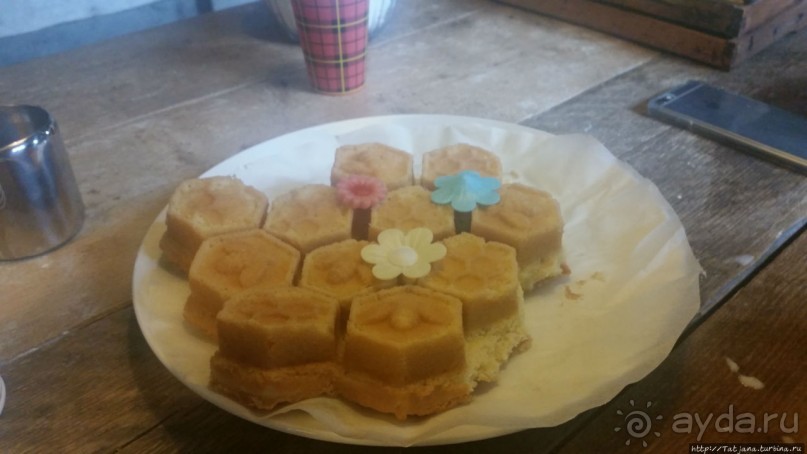 Про пасеку и средство от эмоционального выгорания