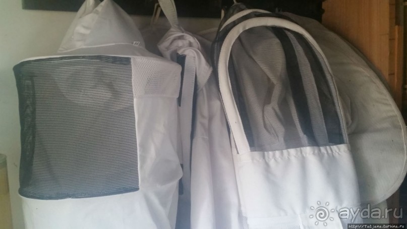 Про пасеку и средство от эмоционального выгорания