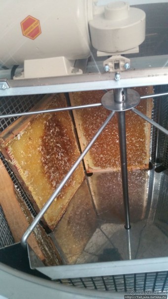 Про пасеку и средство от эмоционального выгорания