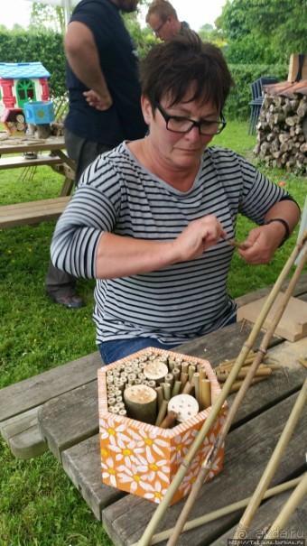 Про пасеку и средство от эмоционального выгорания