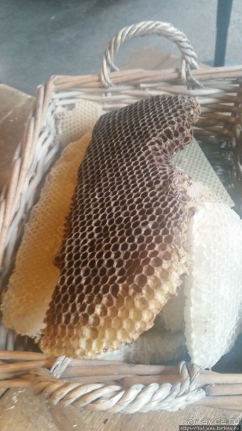 Про пасеку и средство от эмоционального выгорания