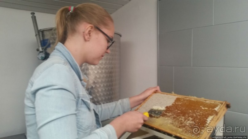 Про пасеку и средство от эмоционального выгорания