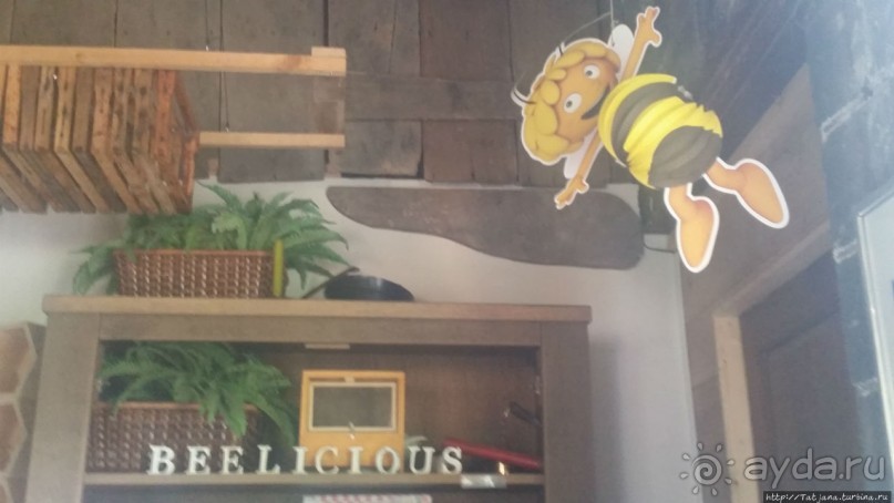 Про пасеку и средство от эмоционального выгорания