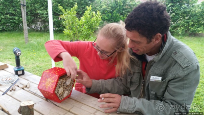 Про пасеку и средство от эмоционального выгорания