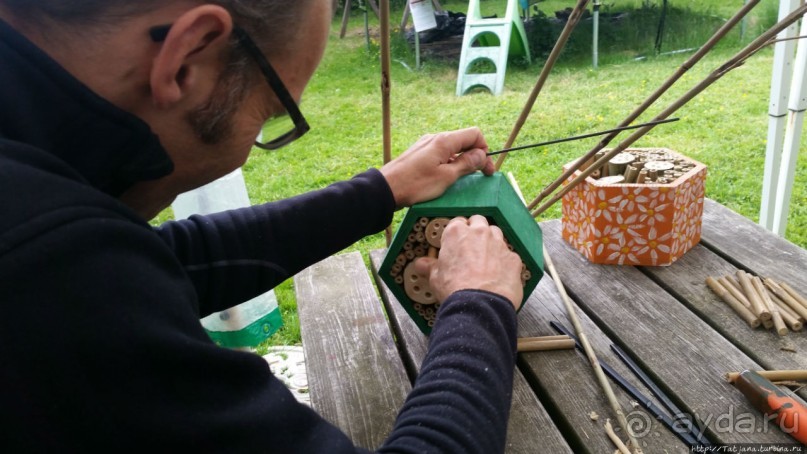 Про пасеку и средство от эмоционального выгорания